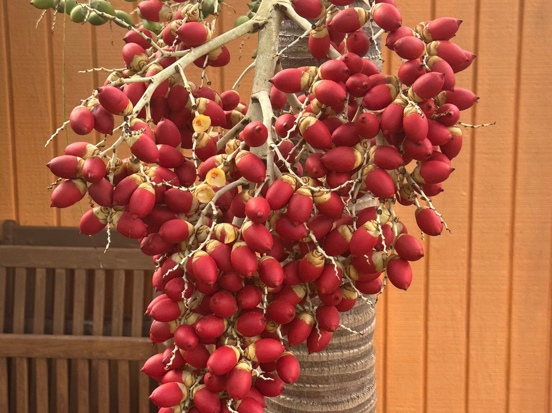 Abaco Neem-Marsh Harbour必去景点