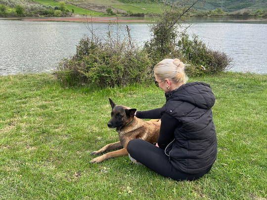 Horse Farm Santo-Elbasan必去景点