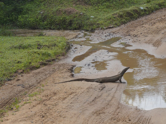 Freedom Safari Jeep Tours-蒂瑟默哈拉默必去景点