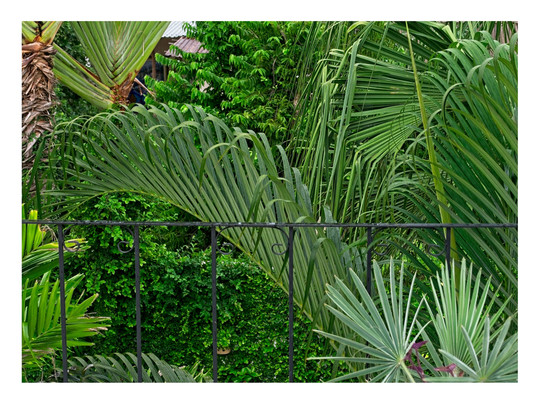 Merida Santiago Hotel Boutique主图