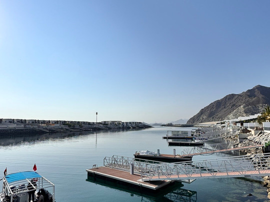 Reef Oasis Diving Center | Fujairah-Al Aqah必去景点