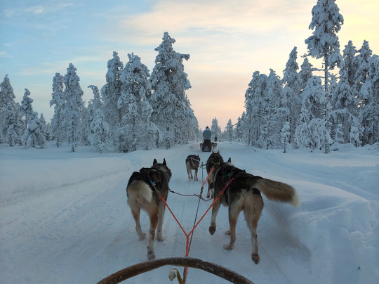 Tundra Huskies Huskyfarm-Levi必去景点