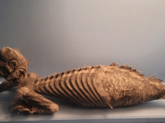 萨尔茨堡自然历史博物馆-萨尔茨堡必去景点