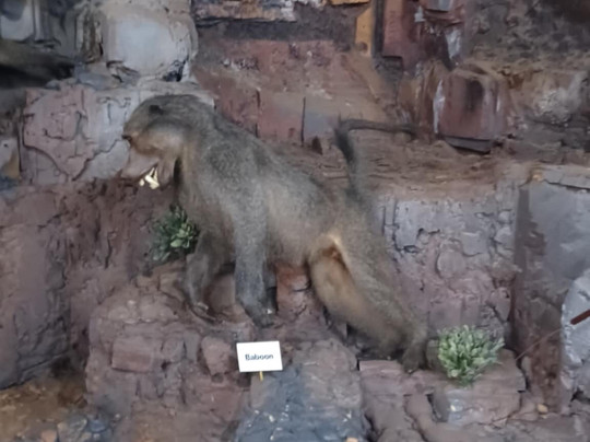 Interpretation Centre & Blyde Museum-Moremela必去景点