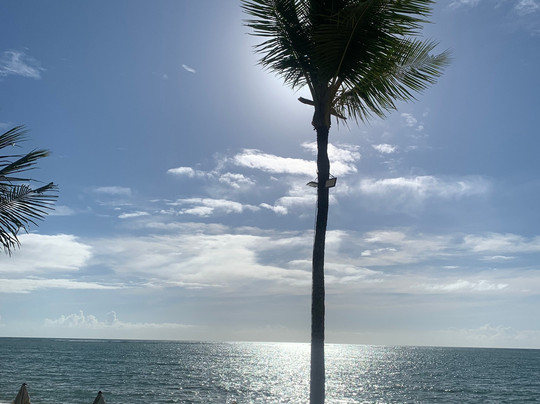 Muta Beach-Porto Seguro必去景点