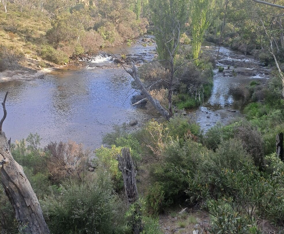 Thredbo River Track-Thredbo Village必去景点