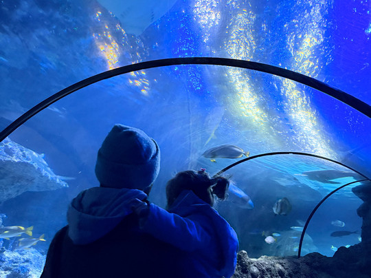 Sea Life Manchester-Trafford Park必去景点