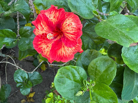 波特罗别墅 - 莫吉托之家民宿主图