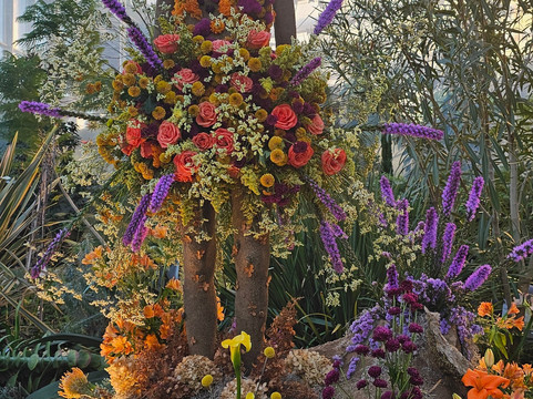 The Leaf-温尼伯必去景点