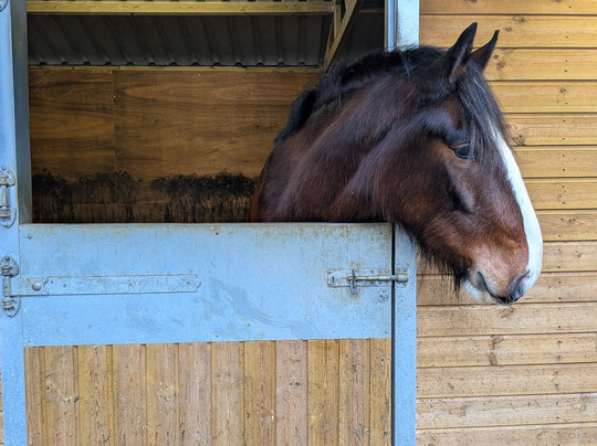 Hook Norton Brewery-Hook Norton必去景点