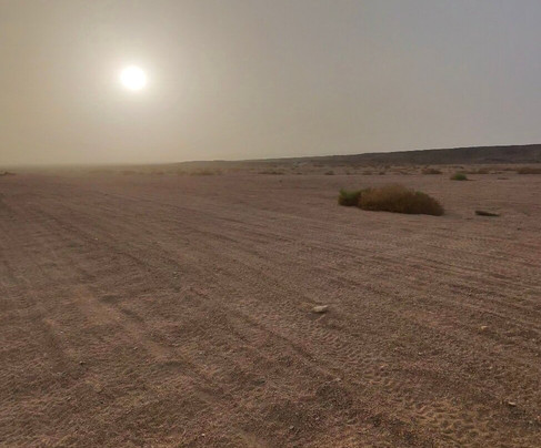 Amore Safari-马萨阿拉姆必去景点