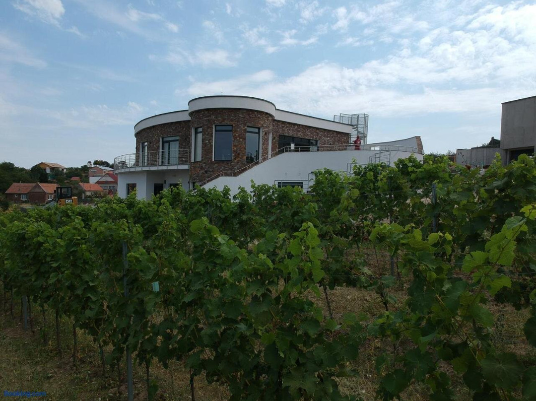 VINAŘSTVÍ JOHANNESBERG