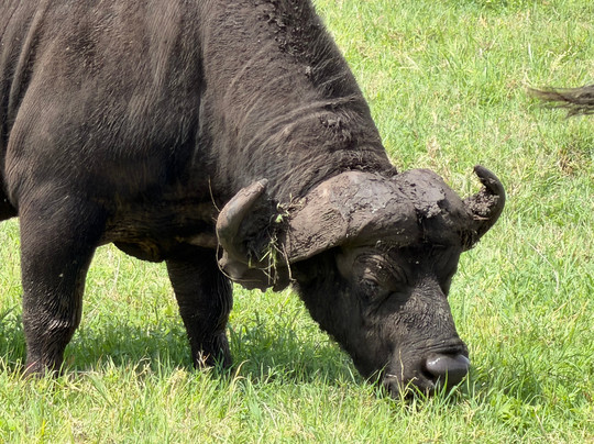 Zara Tanzania Adventures-莫西必去景点