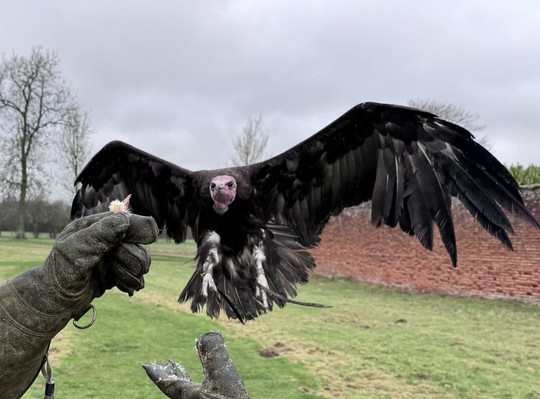 The Hawking Centre-Boughton Lees必去景点