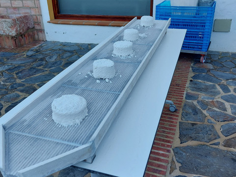 Museo del Queso El Bosque-El Bosque必去景点