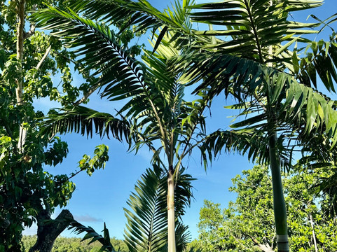 海龟湾小屋主图