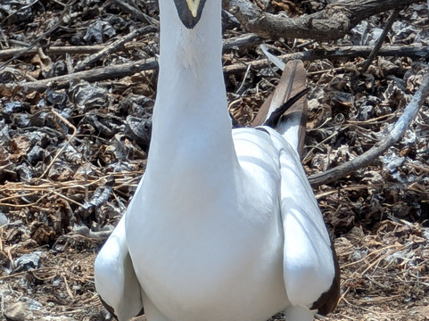 Aventuras La Plata-Puerto Lopez必去景点