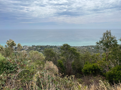 Murrays Lookout-Arthurs Seat必去景点