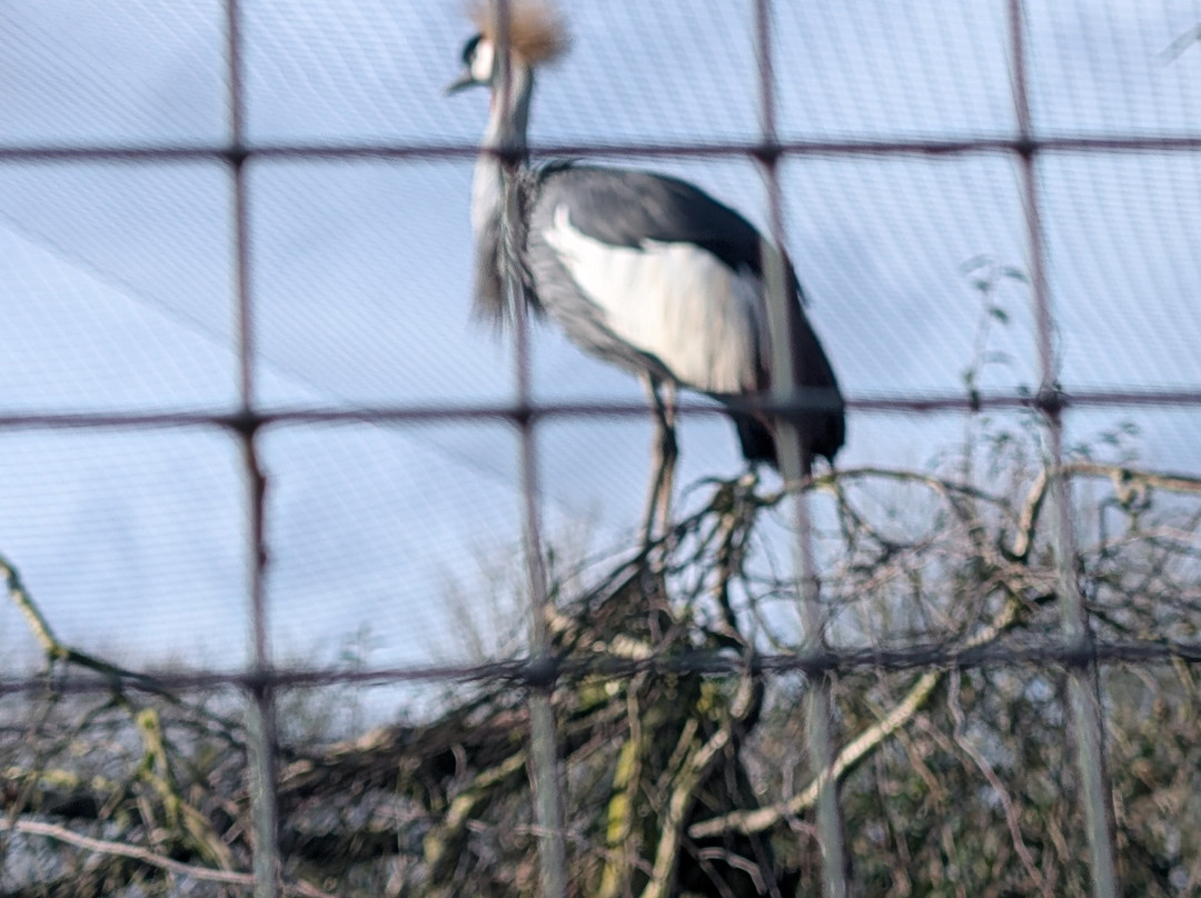 鸟园-水上伯顿必去景点