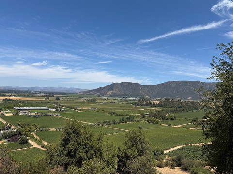 Vina Montes-圣克鲁斯必去景点