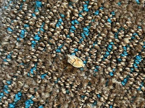 里士满西北Residence Inn 酒店主图