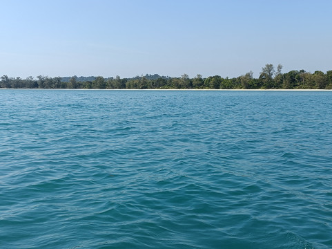 The Last Point主图