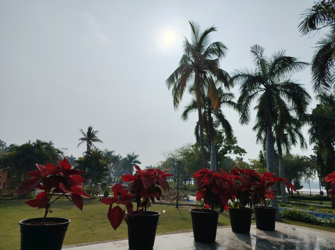 Fateh Sagar Lake-乌代布尔必去景点