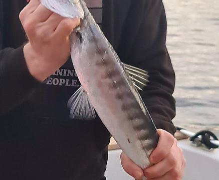 Tortuga Fishing Lanzarote-兰萨罗特必去景点