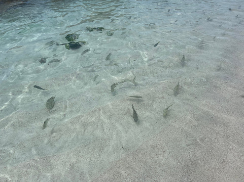 Sunny Trail Guide-拉迪格岛必去景点