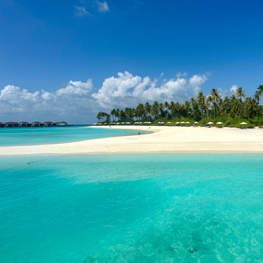 Avani+ Fares Maldives Resort-泳池