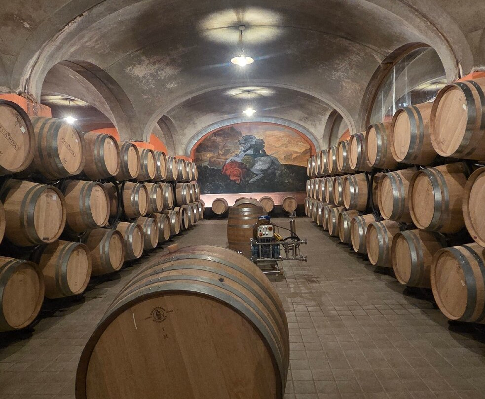 Tua Rita-Suvereto必去景点