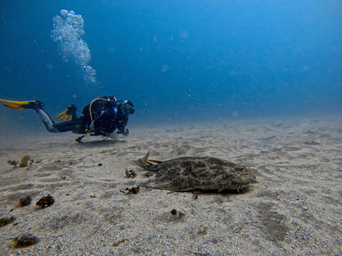Karapat Dive-大加那利岛拉斯帕尔马斯必去景点