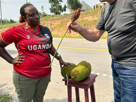 Makasa Tanzania Safaris-莫西必去景点