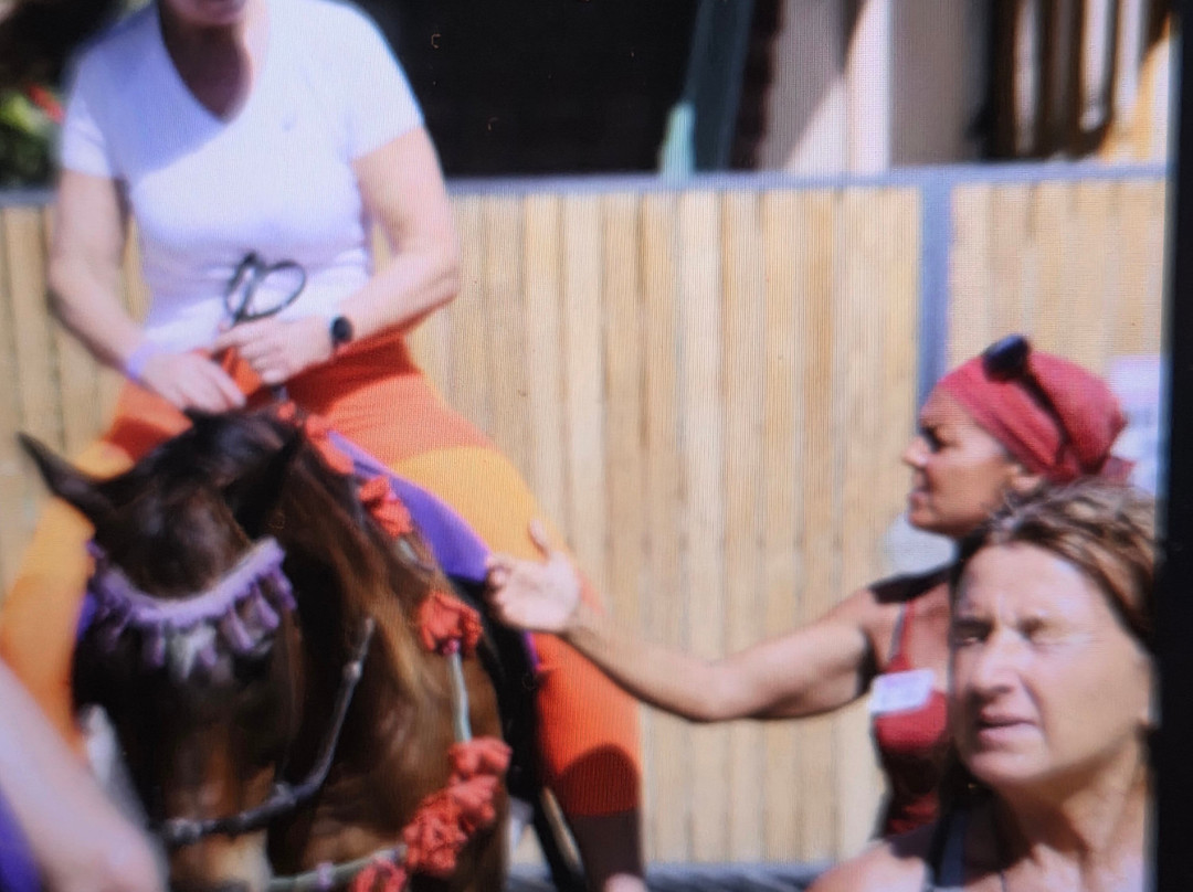 Being with Horses-Buccoo必去景点