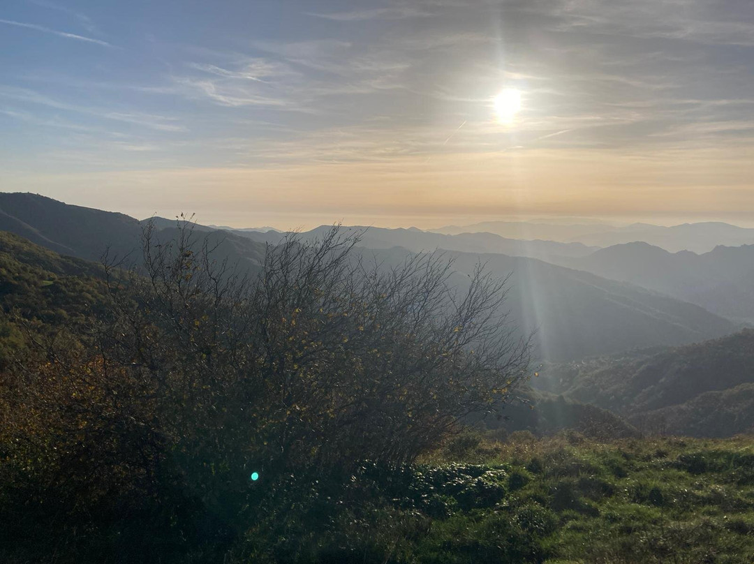 Sogni D'Oro