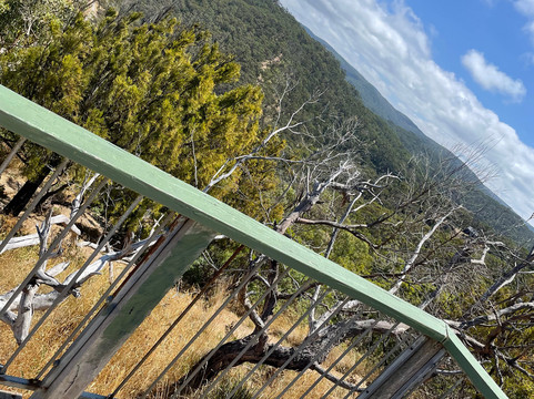 Teddy's Lookout-洛恩必去景点