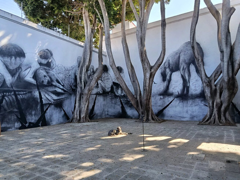 Museo de Arte Contemporaneo de Oaxaca (MACO)-瓦哈卡必去景点