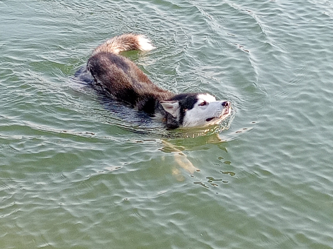 Viñedo La Revuelta-Tequisquiapan必去景点