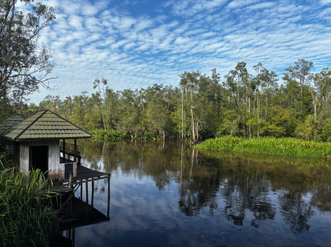 Local Guides - Tanjung Puting-Pangkalan Bun必去景点