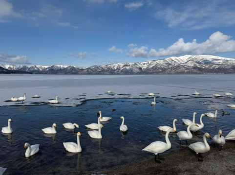 屈斜路湖-弟子屈町必去景点