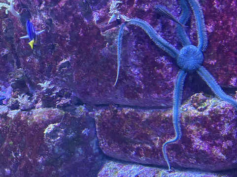 Malta National Aquarium-卡拉必去景点