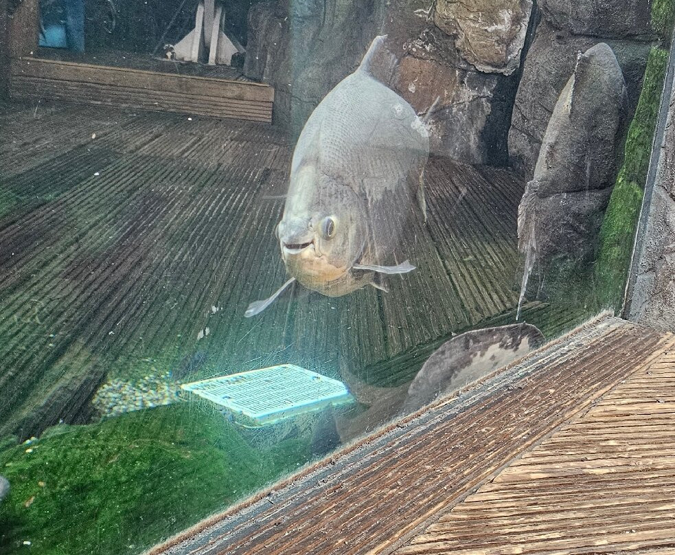 Bristol Aquarium-布里斯托尔必去景点