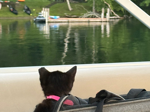 Copake Lake Boat & Ski-Craryville必去景点