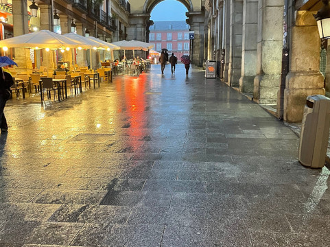 Across Madrid Cultural Tours-马德里必去景点