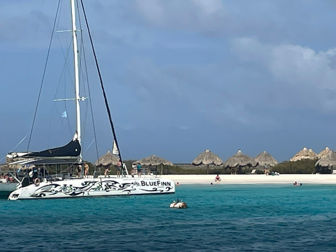 BlueFinn Charters-威廉斯塔德必去景点