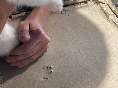 Dartington Crystal-Great Torrington必去景点