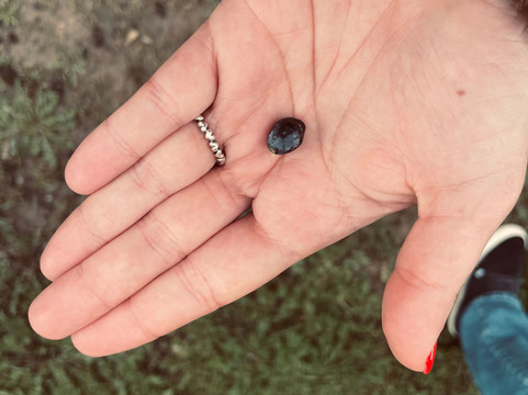 Mainova-Vimieiro必去景点