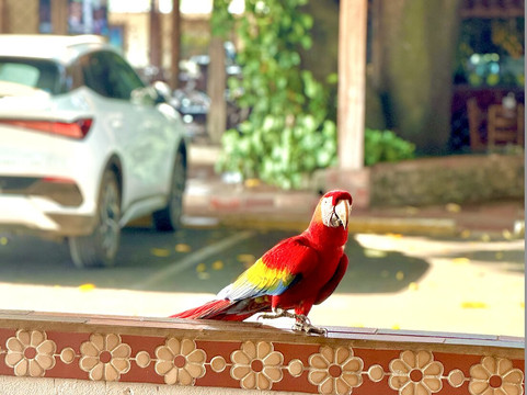 Exciting Travel Costa Rica-阿拉辉拉必去景点