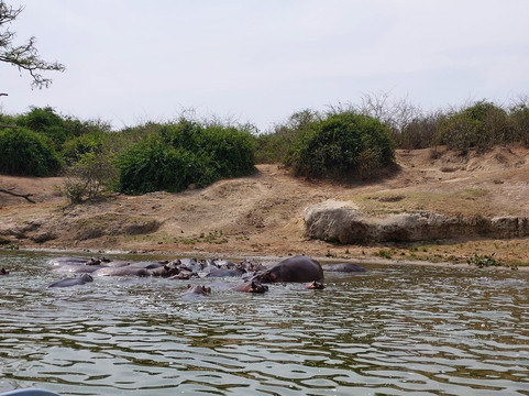 Afrika Panthera Safaris-Fort Portal必去景点