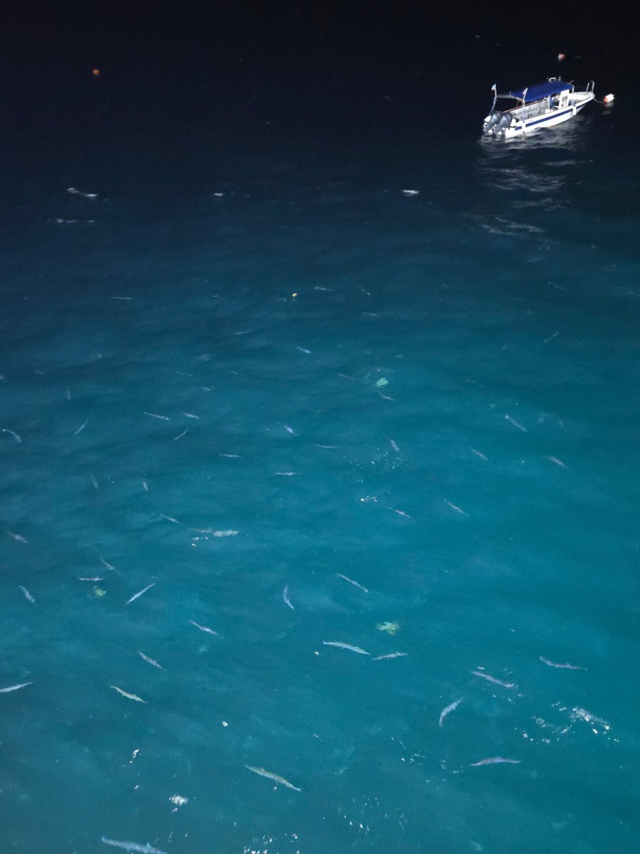 海洋探险潜水度假村-官方